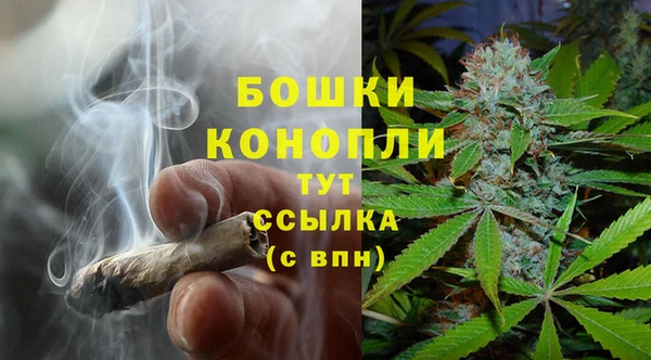 молекула духа Белокуриха