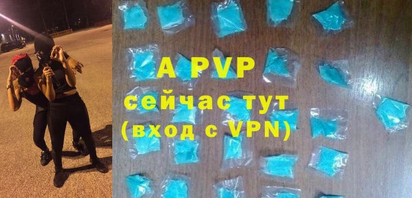 ALPHA PVP Иннополис