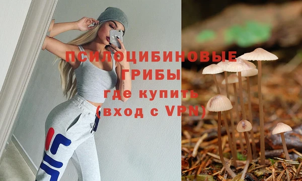 молекула духа Белокуриха