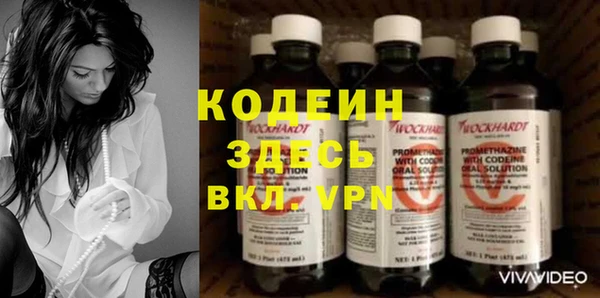 мет Няндома
